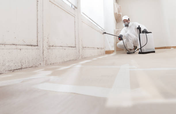 24/7 Emergency Mold Remediation experts in Knoxville, TN